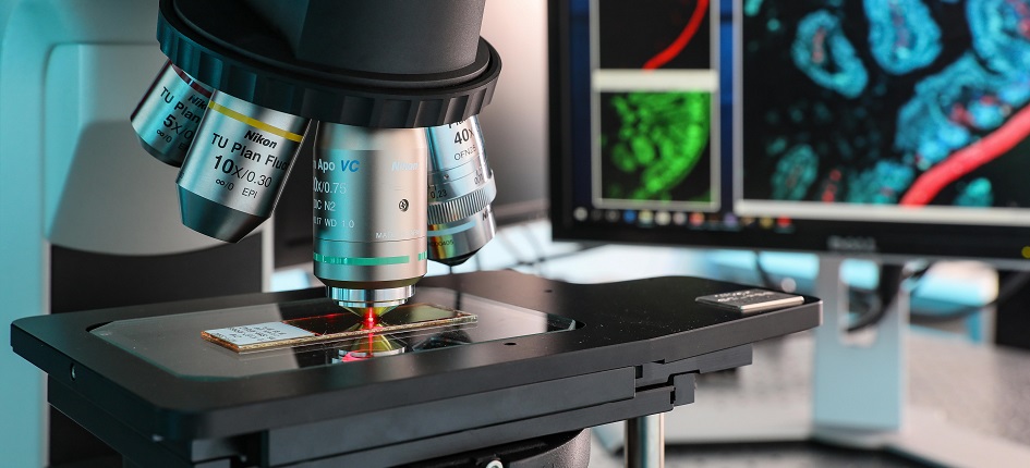 Expertise in Benign Hematological Disorders